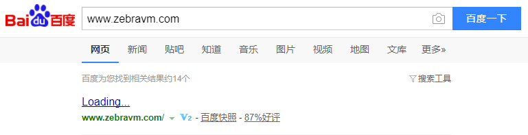 斑马视觉网站快照异常